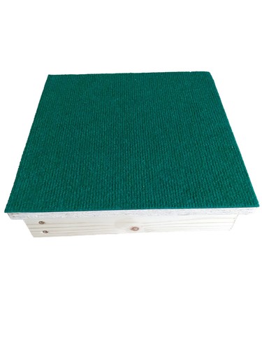 Dog training pivot - dog,