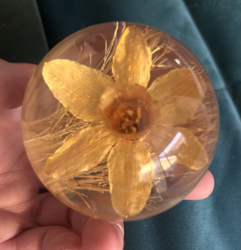 Hafod grange vintage daffodil - hafod,