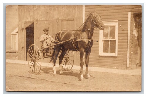 Rppc charriot horse - charriot,