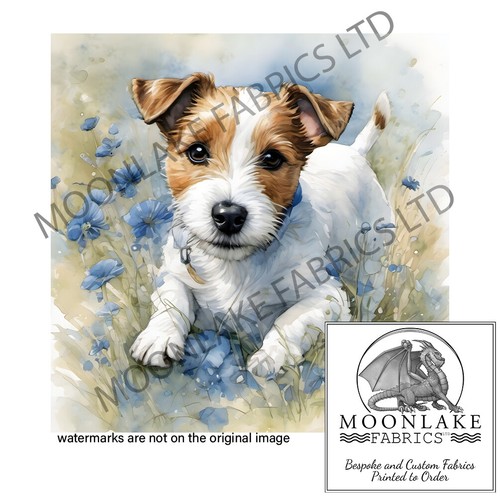 Cute little jack russell pup - russell,