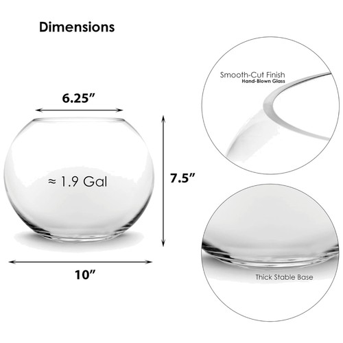 Stylish glass fish bowl - glass,