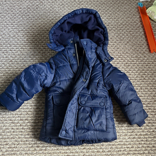 Maine blue hooded puffer - maine,