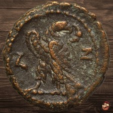 BEAUTIFUL Probus coin - EAGLE
