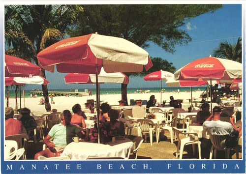 Manatee beach anna - manatee,