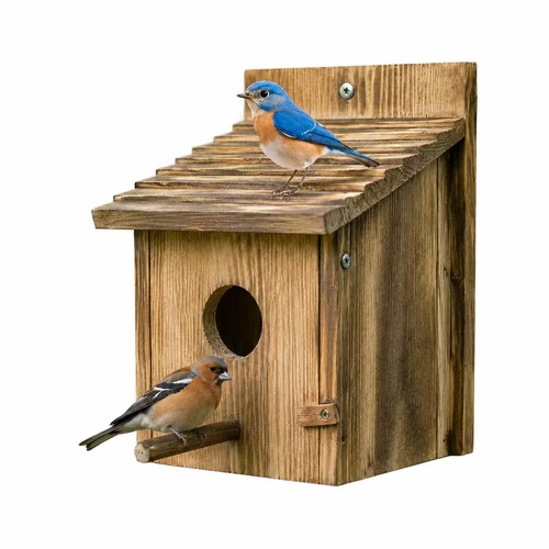 Wooden bird house - bird,