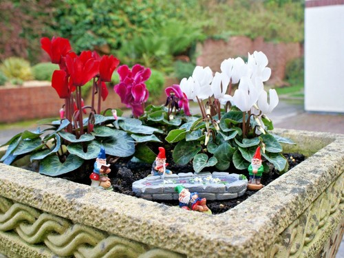 Miniature garden gnomes for - miniature,