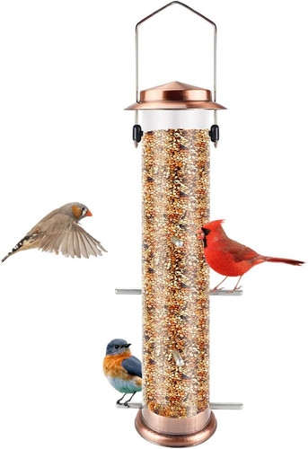 Niger seed bird - seed,