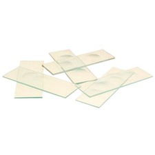 Eisco Microscope Slide Two