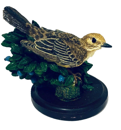 Country bird collection - country,