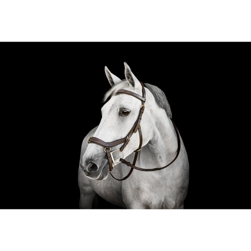 Rambo micklem multyway bridle - rambo,