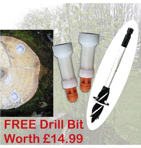 Tree stump killer stop - stump,