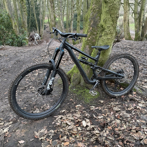 Specialized status 170 s2 - 170,