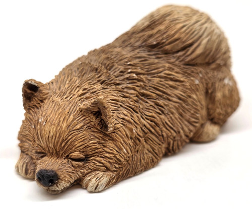 Sandicast sleeping pomeranian - sandicast,
