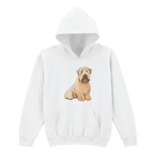 Soft Coated Wheaten Terrier