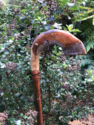 Vintage rams horn walking - horn,