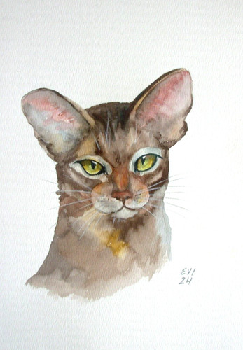 Cat with amber - , original