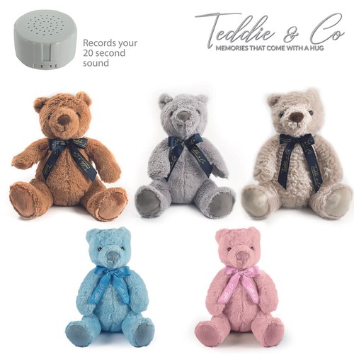 Message recording bear - message,
