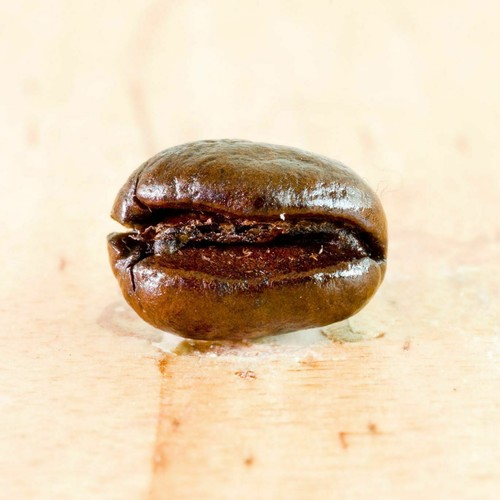 Brazilian peaberry coffee - brazilian,