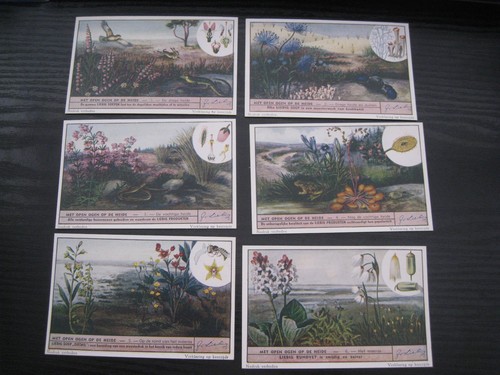 Liebig set cards s1511 - 6,