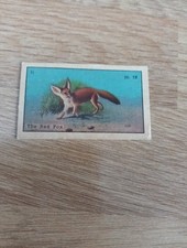 Cigarette Card Chinese Red Fox