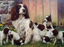 Nigel Hemming - Dads Army -