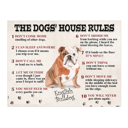 The dogs house - the, rules