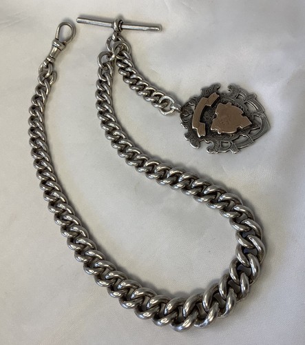 Albert chain medal gold fob - albert,