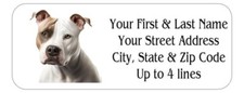 150 Pitbull Terrier Pit Bull
