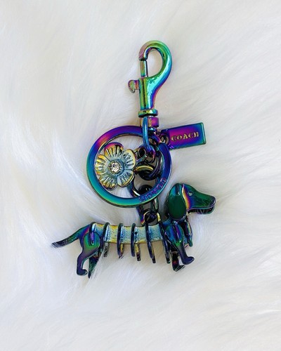 Dachshund dog rainbow - dachshund,