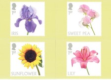 2023 phq 513 - phq, flowers,