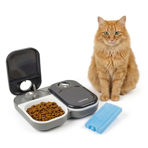 Cat mate two meal - cat,