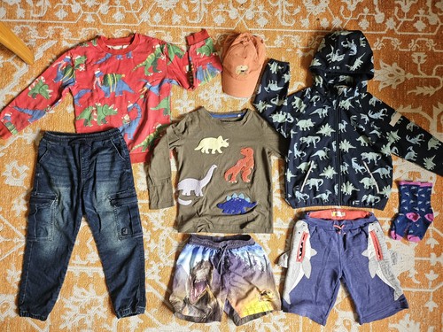 Boys age dinosaur - boys,
