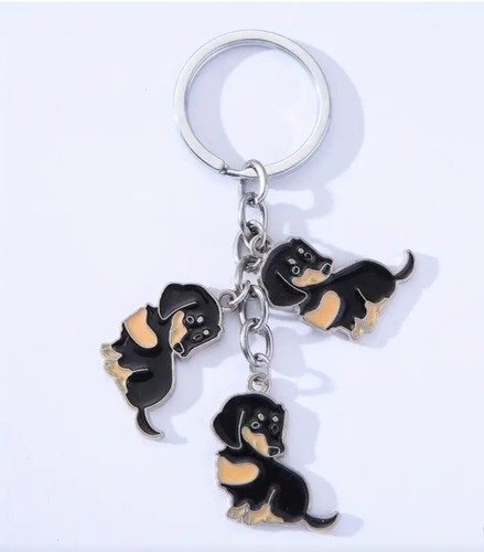 Dachshund sausage dog black - dachshund,