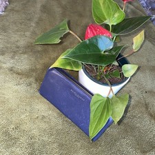 Edina Ronay Purse purple