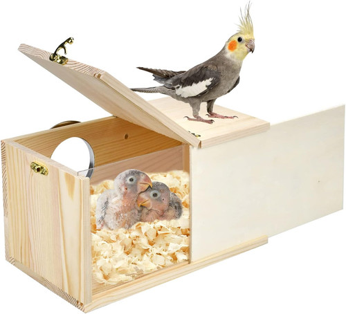 Parakeet nesting box - box, cockatiel