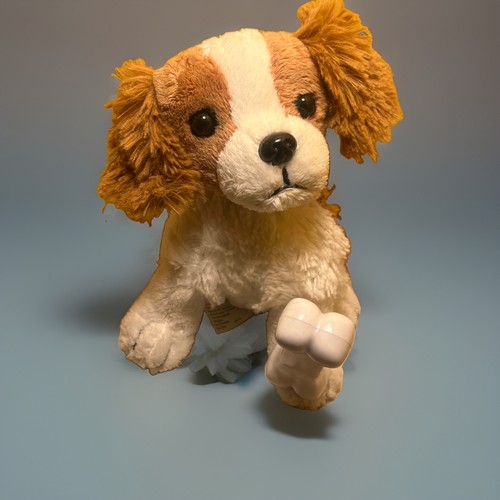 Nintendogs 2007 dressables - nintendogs,