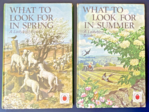 Ladybird what look for in - to,