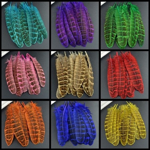 Pheasant feathers 15cm - pheasant,