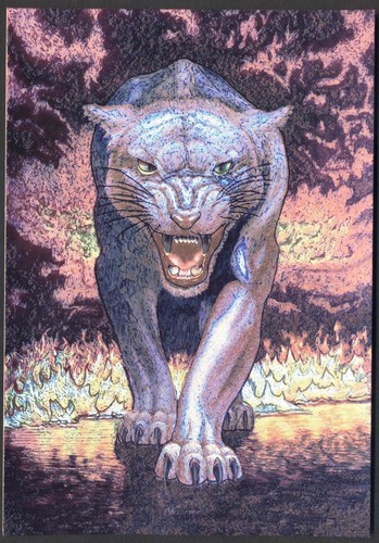 Modern foil postcard fire - foil,
