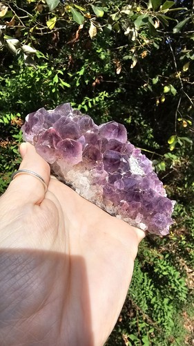 Large amethyst cluster - large,