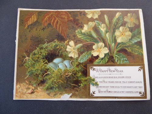 Victorian new year bird - year,
