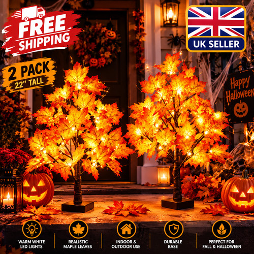 Pack lighted maple - 2,