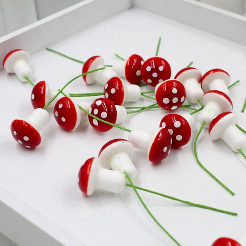 Brand new mushroom - brand,