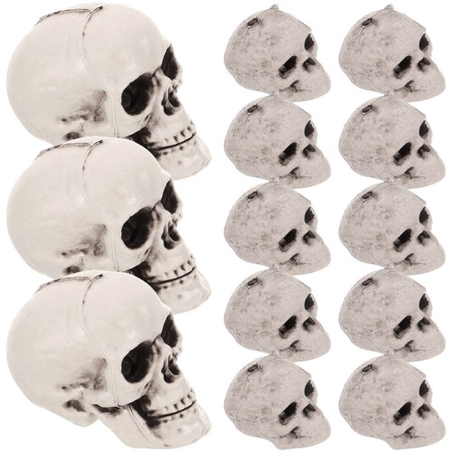 Fish tank skull - skull, decoration