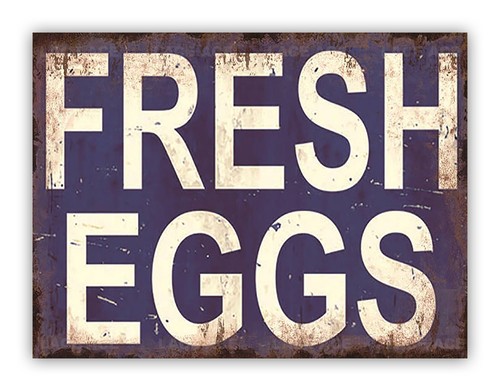 Fresh eggs metal sign for - fresh,
