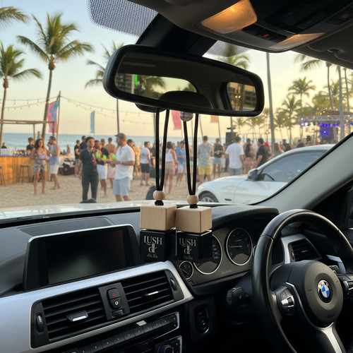 Car air freshener diffuser - car,