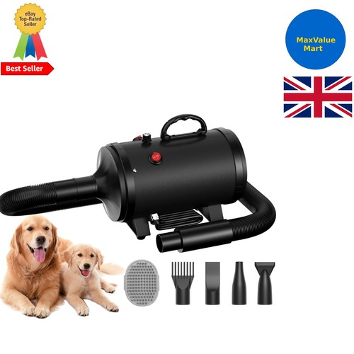 Dog hair dryer - dog, blaster
