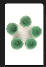 Bee Drinking Cup for Garden