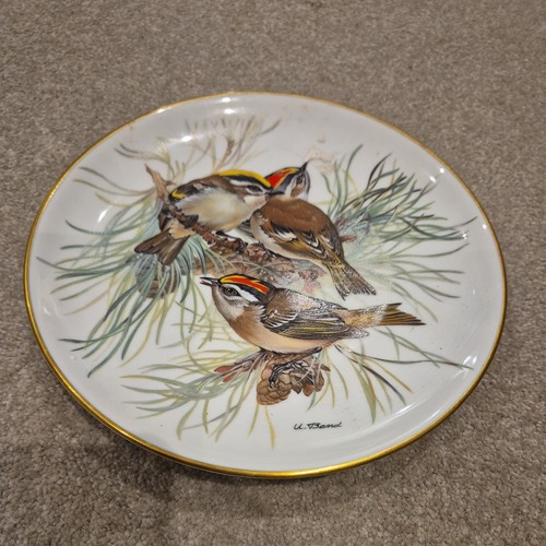 Crested finch wwf songbirds - crested, of