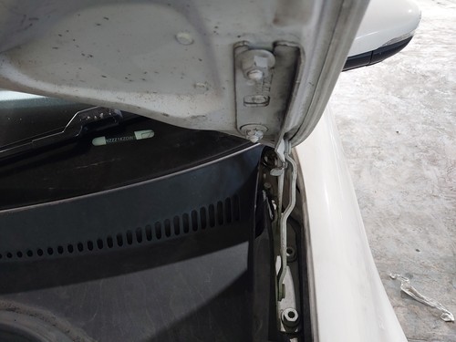 Bonnet hinge volkswagen - hinge, lh